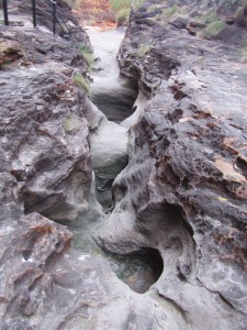 Bungle Nationalpark-098